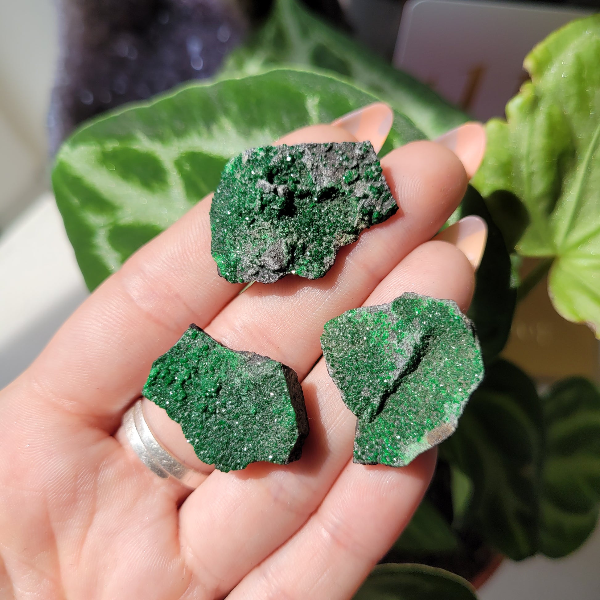 natural uvarovite specimen // green garnet // x1