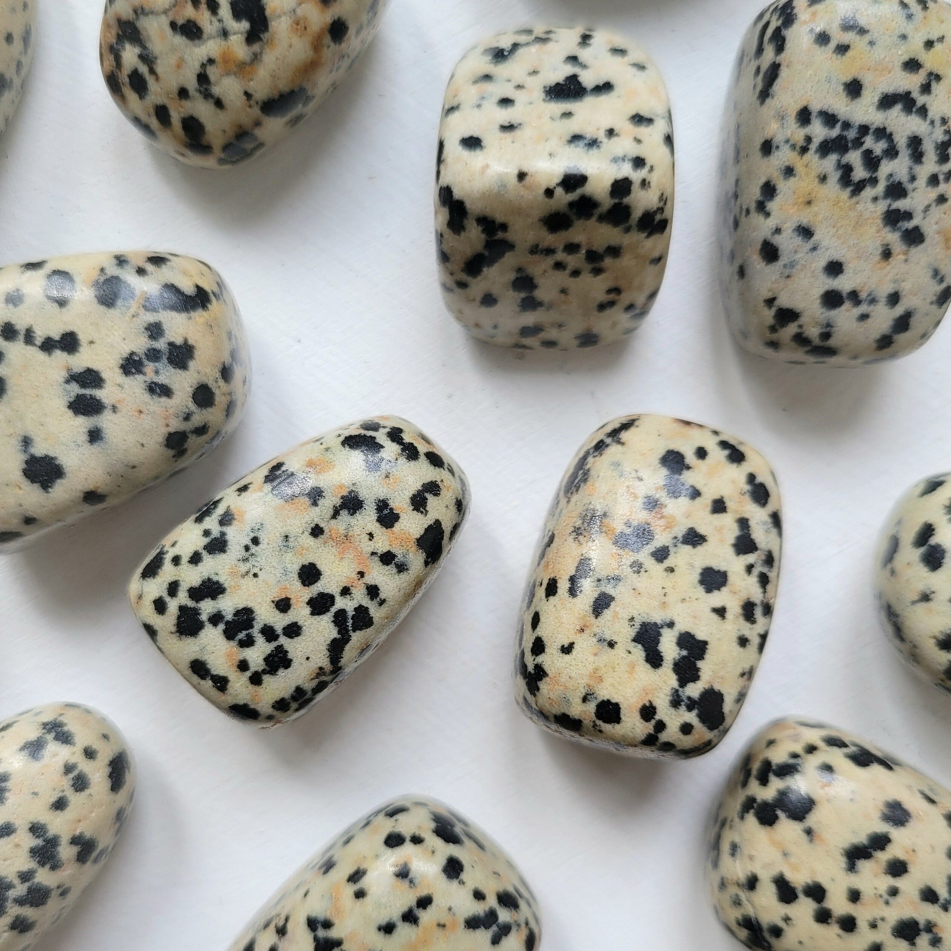 large Dalmatian jasper crystal tumbled stones // 1x intuitively picked //  Natural gemstone // meditation // chakra // metaphysical