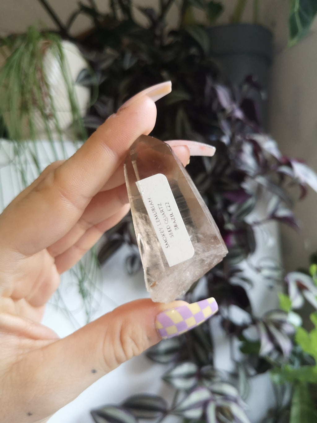 Natural smokey lemurian seed quartz // Quartz point // approx 6.5cm