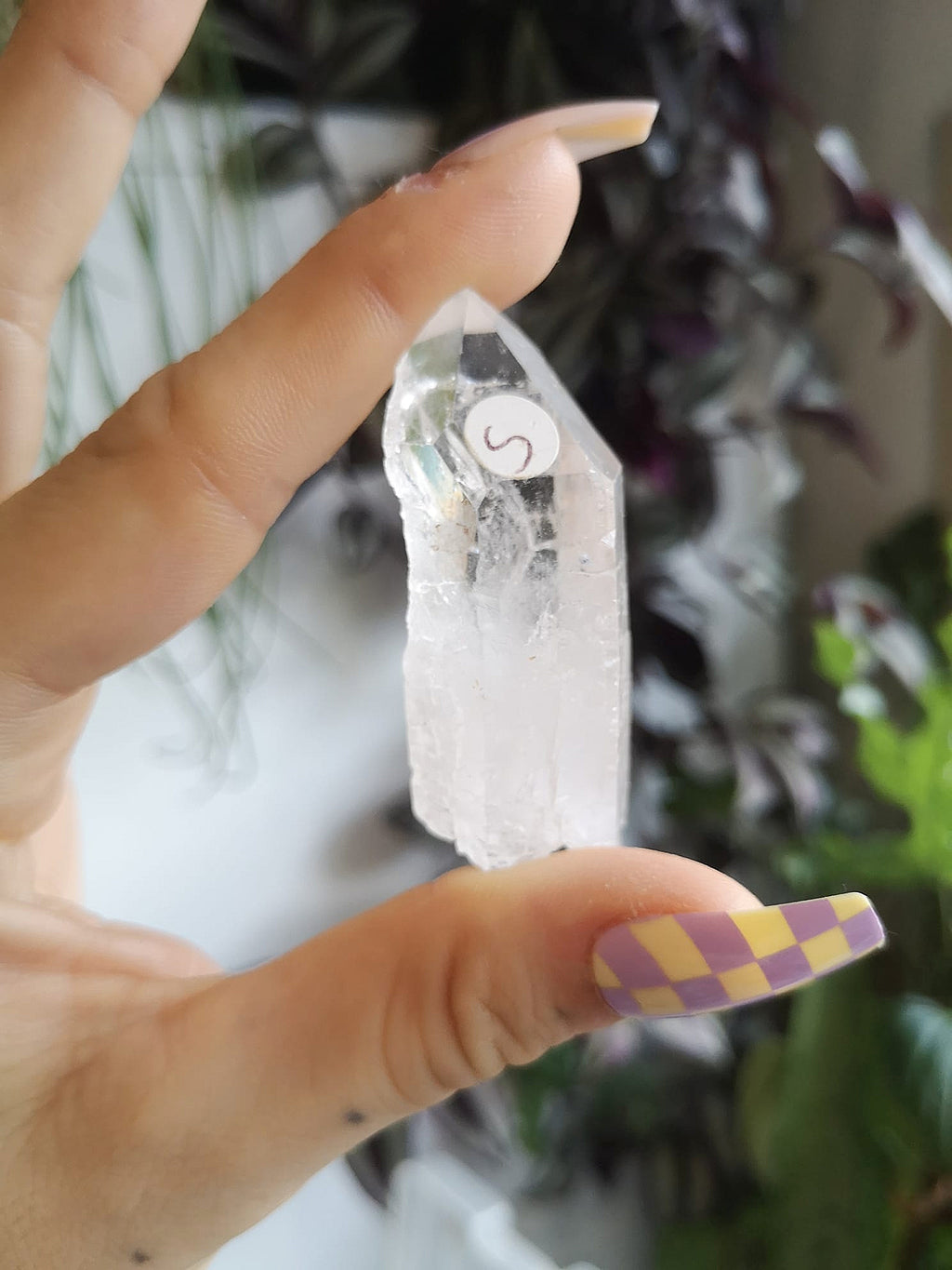 Natural starbrary quartz // starseed quartz // approx 5.4cm