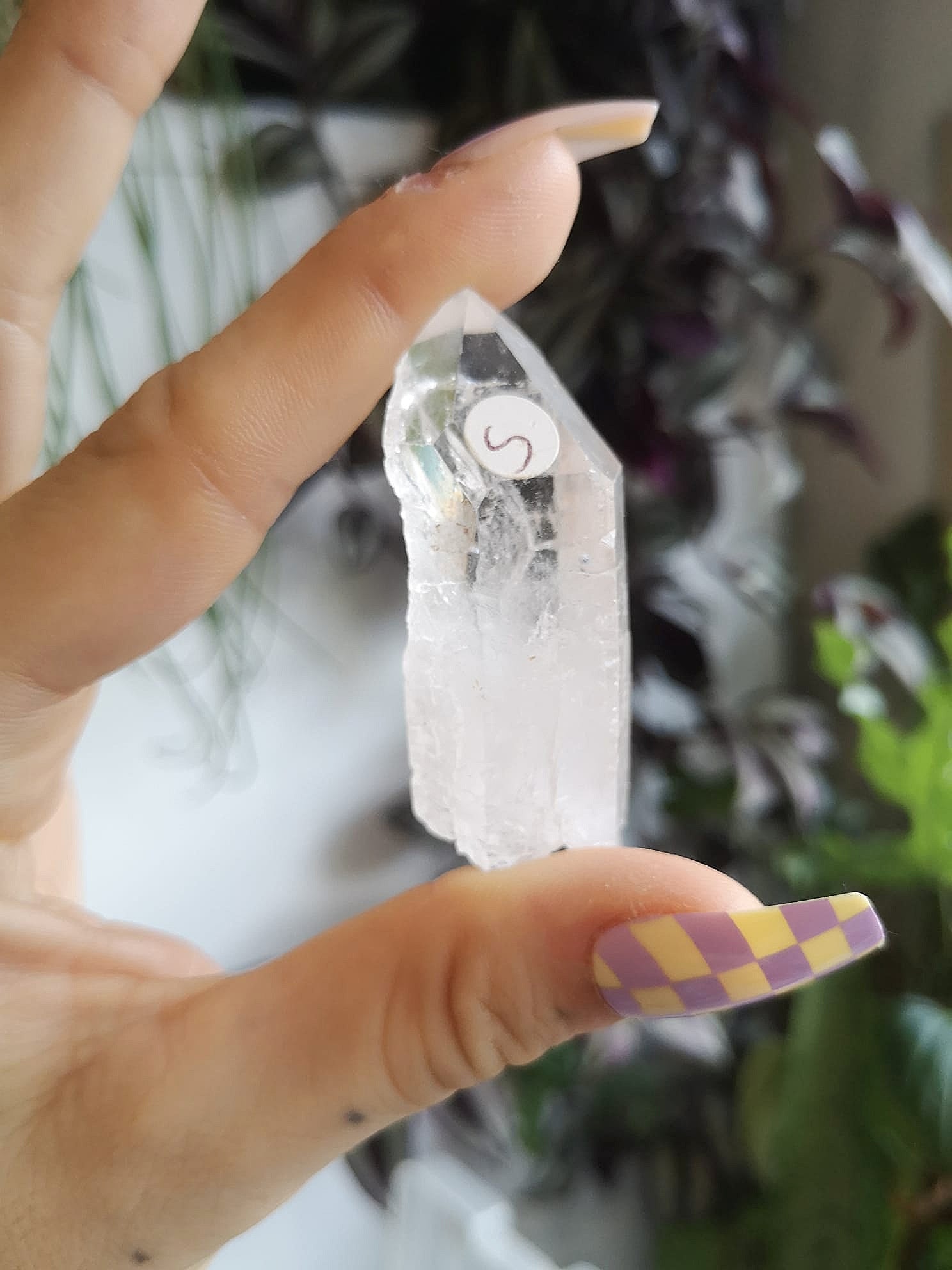 Natural starbrary quartz // starseed quartz // approx 5.4cm