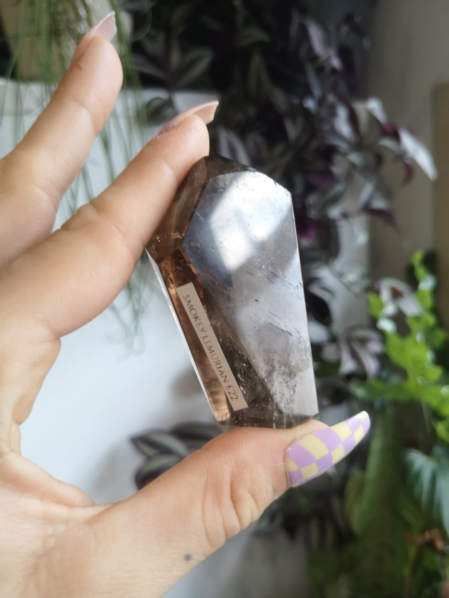 Natural smokey lemurian seed quartz // faceted carving // approx 6cm