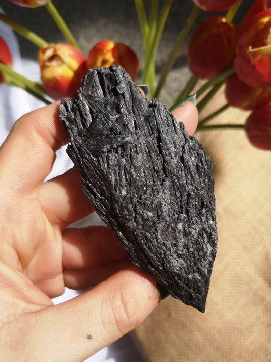 Black kyanite blade, Brazil