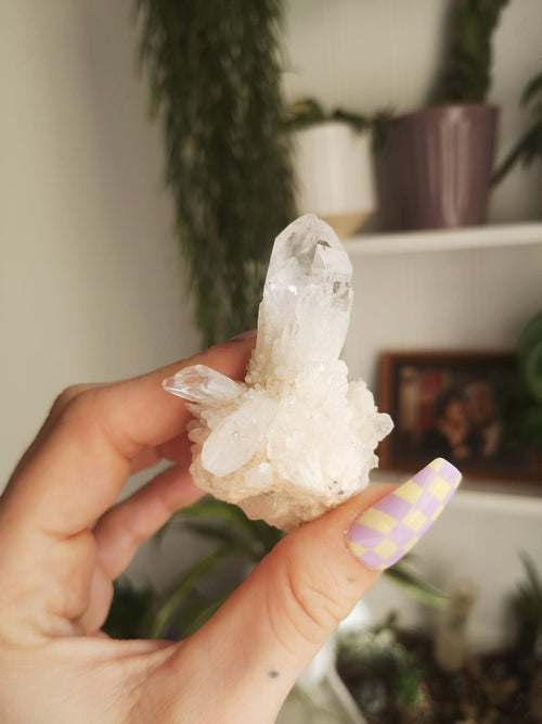 Abundance quartz cluster // Brazil // approx 7cm