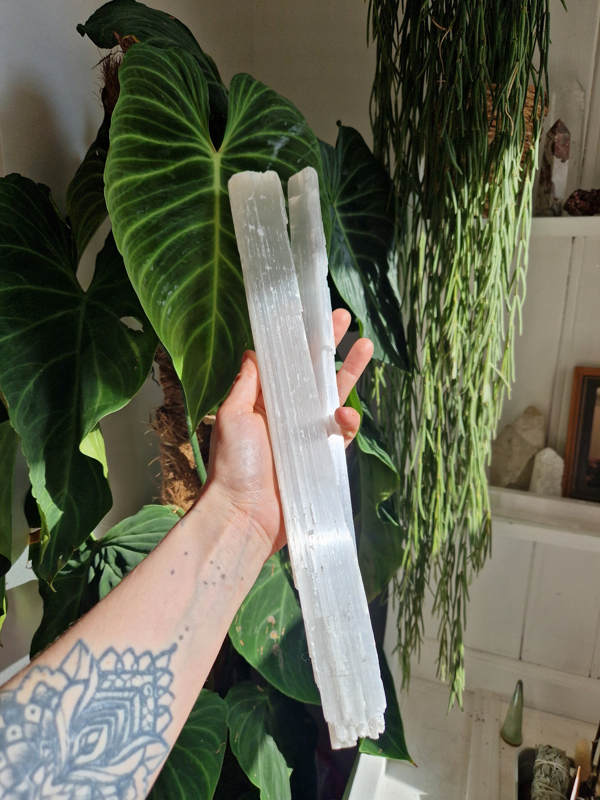 XL Selenite // satin spar sticks x1