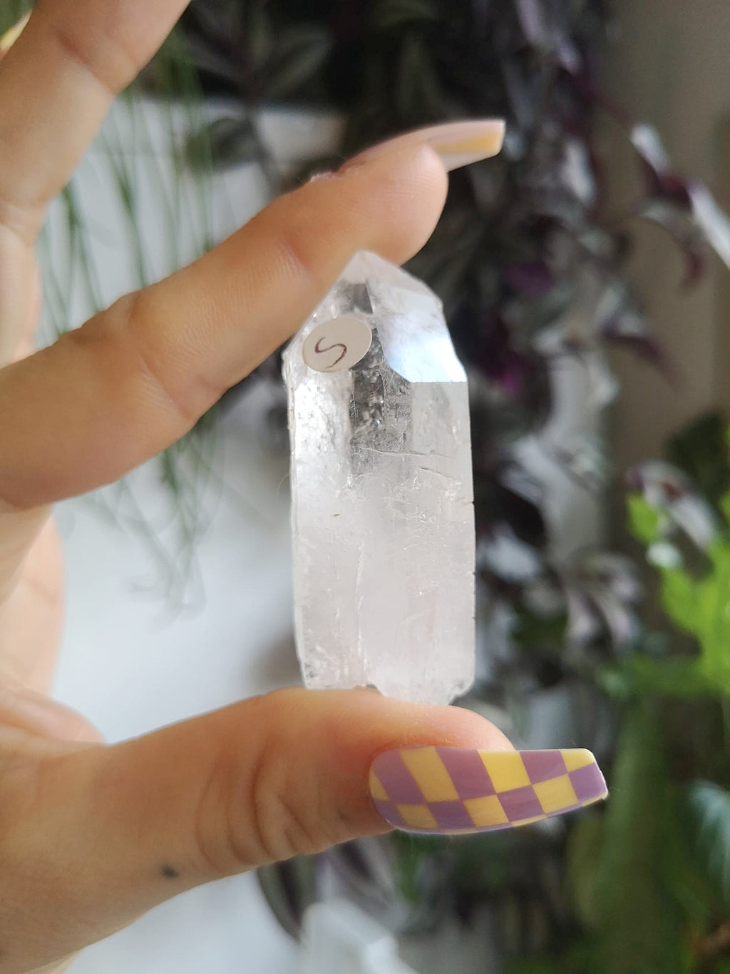 Natural starbrary quartz // starseed quartz // approx 5.4cm