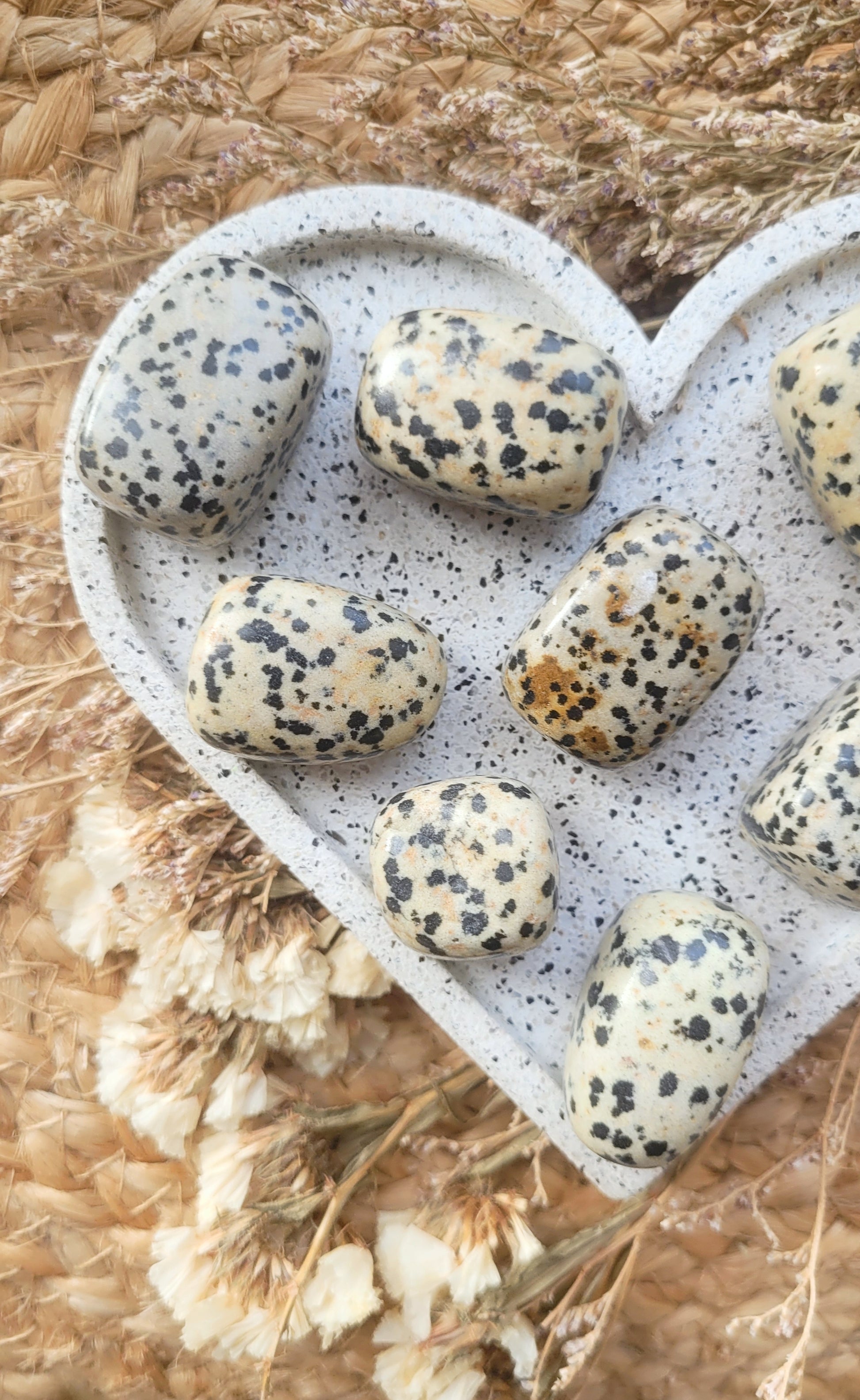 large Dalmatian jasper crystal tumbled stones // 1x intuitively picked //  Natural gemstone // meditation // chakra // metaphysical