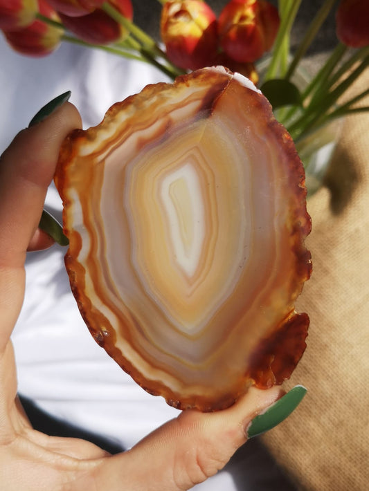 Agate slice // Natural Agate coaster // home decor
