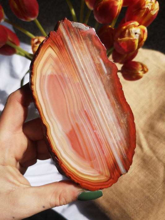 Natural carnelian slice