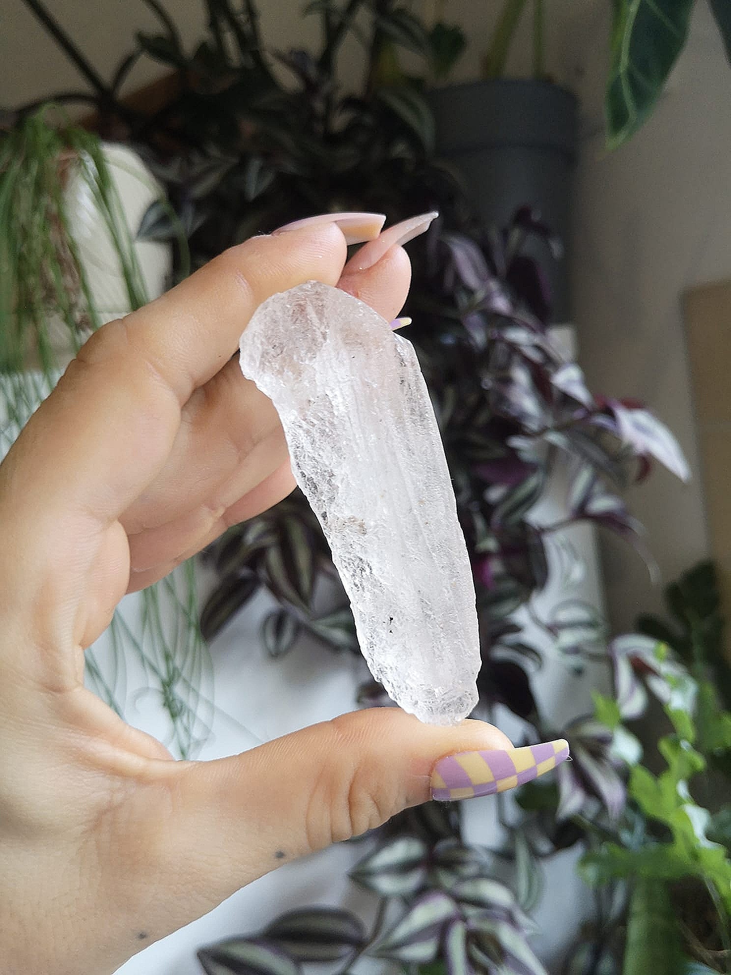 Lemurian code keeper of freedom // mother of lemuria // Lemurian root // approx 8cm