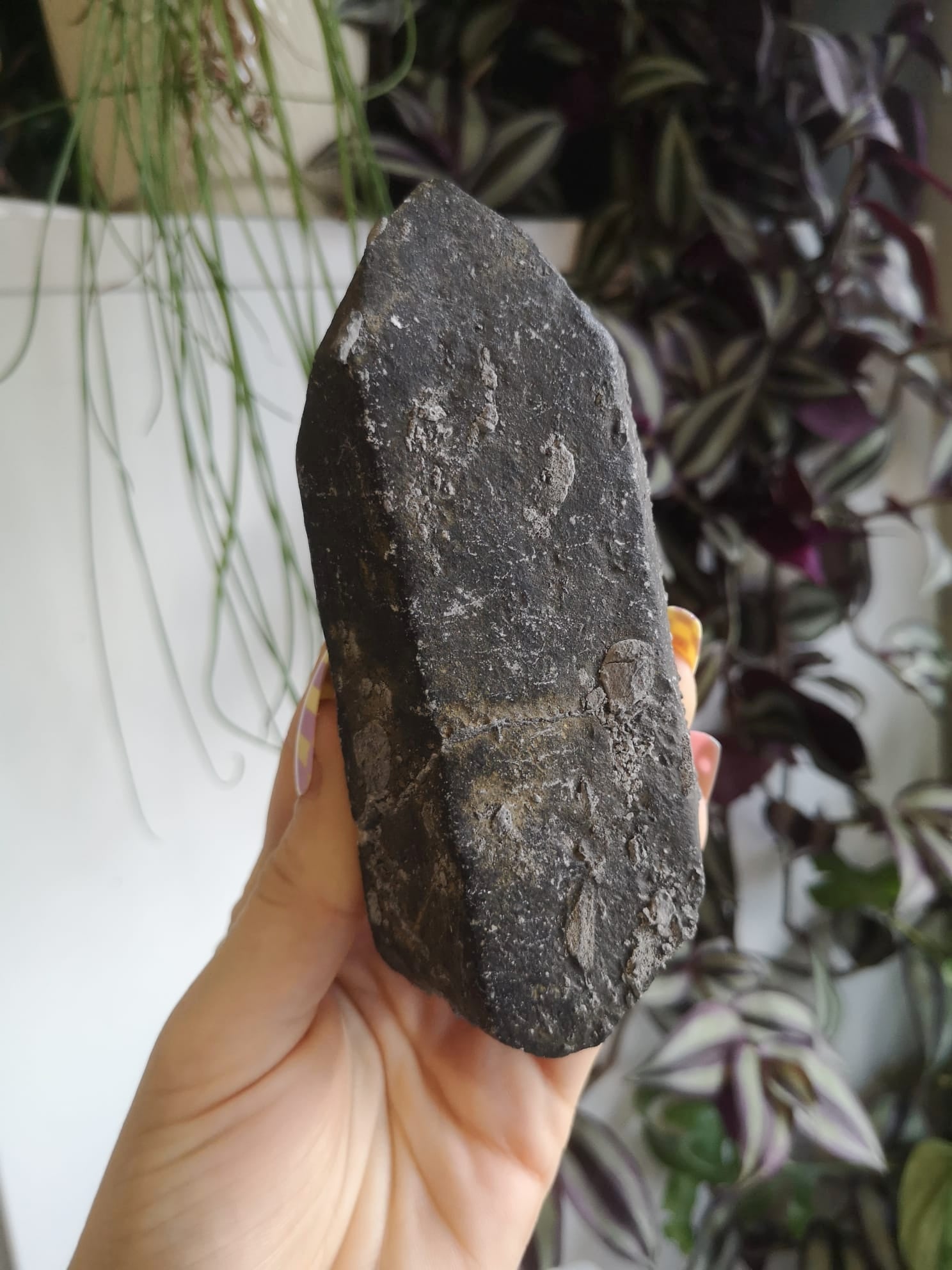 Rare pseudomorph lemurian quartz // Quartz point with goethite // approx 12cm