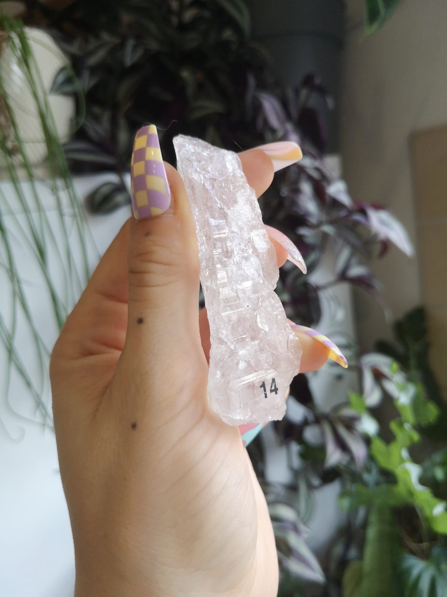 Lemurian code keeper of freedom // mother of lemuria // Lemurian root // approx 8cm