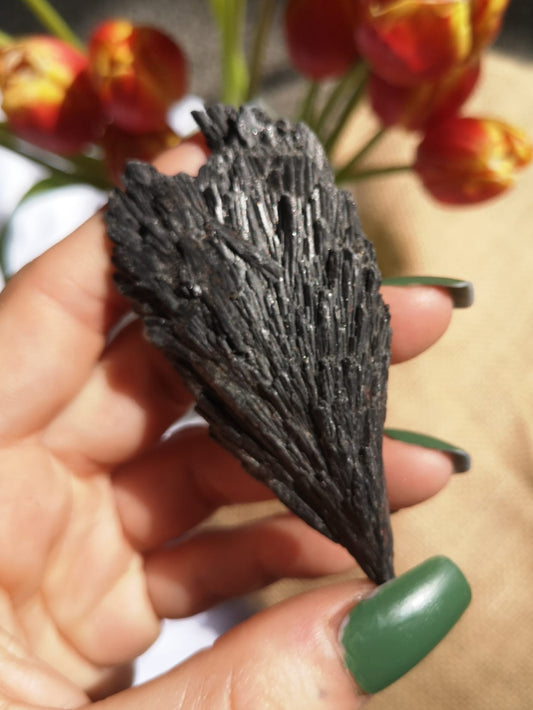 Black kyanite blade, cord cutting