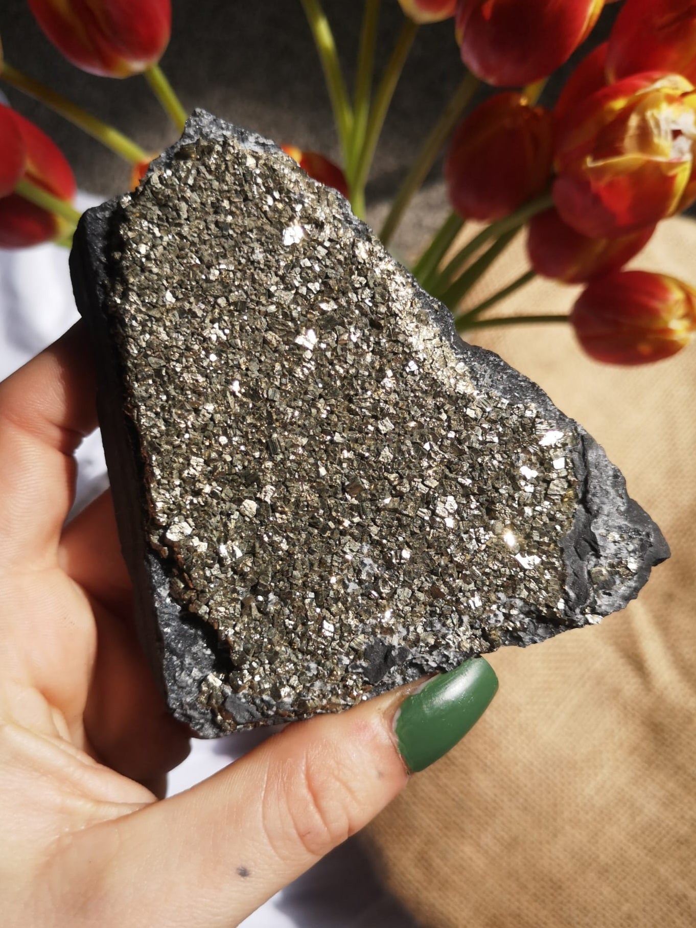 Shungite & pyrite slice // Natural crystal specimen