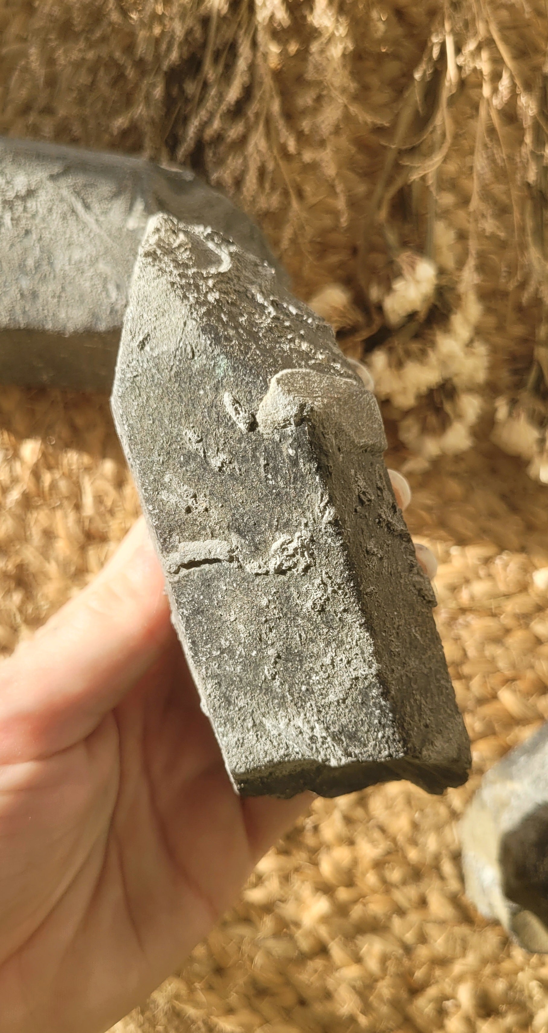 Lemurian seed quartz pseudomorph // goethite quartz // approx 12cm